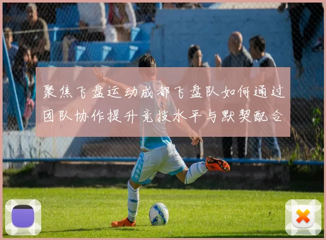 聚焦飞盘运动成都飞盘队如何通过团队协作提升竞技水平与默契配合MBA