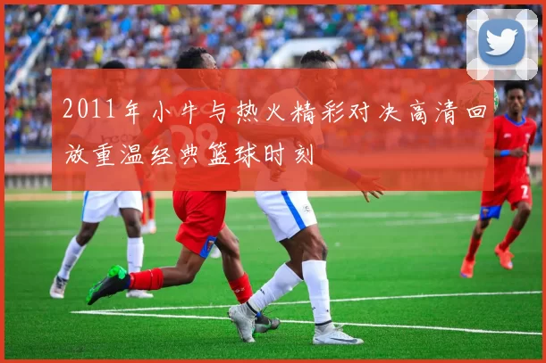 2011年小牛与热火精彩对决高清回放重温经典篮球时刻