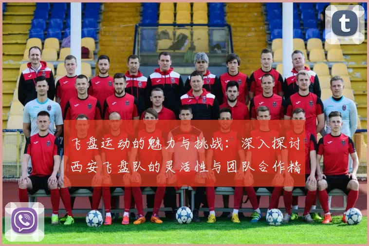 飞盘运动的魅力与挑战：深入探讨西安飞盘队的灵活性与团队合作精神MBA