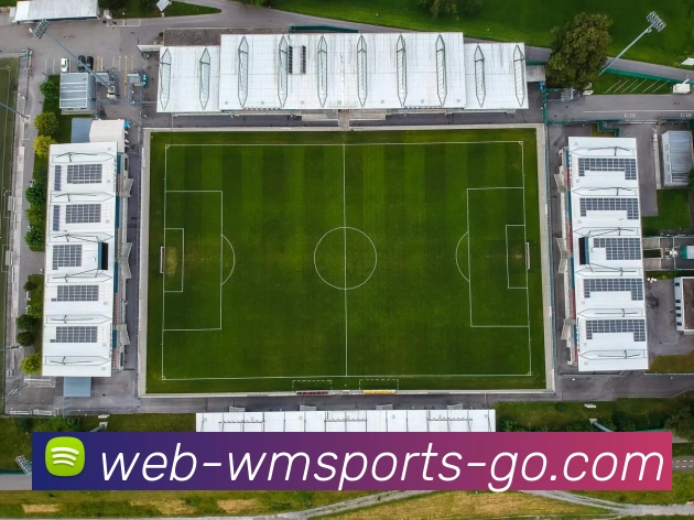 wm体育发展历程