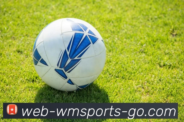 wm体育APP 体育赛事宣传图